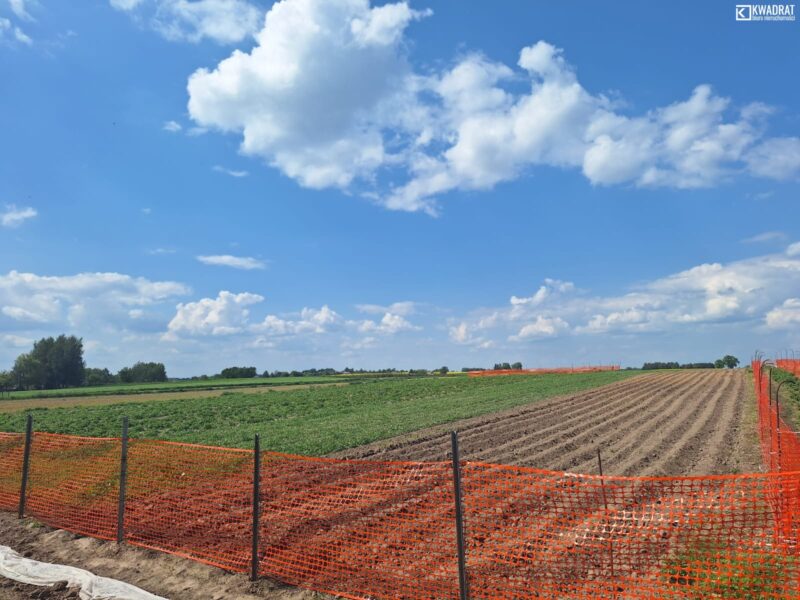 PŁOUSZOWICE - działka na sprzedaż