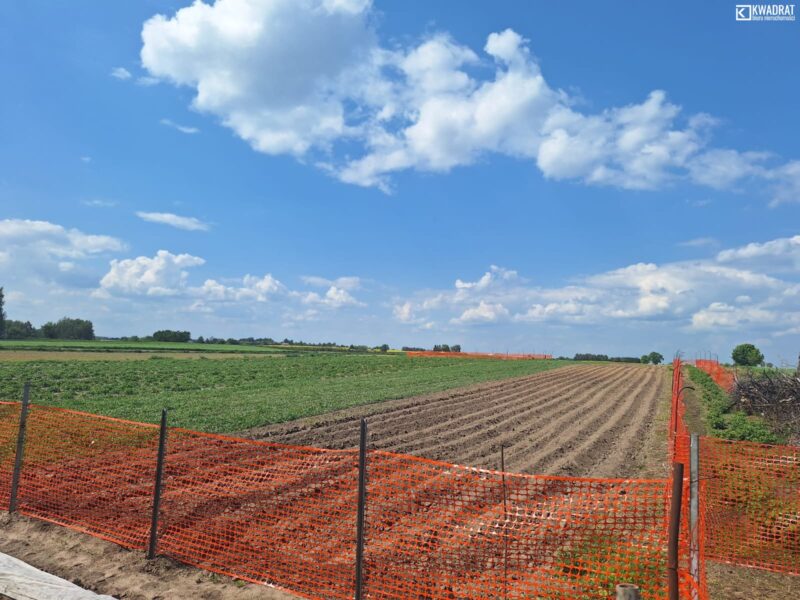 PŁOUSZOWICE - działka na sprzedaż