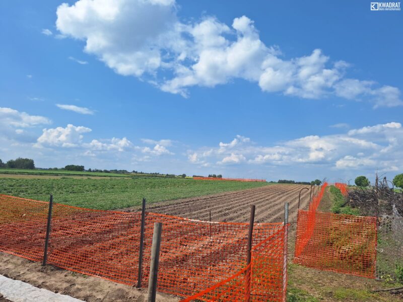 PŁOUSZOWICE - działka na sprzedaż