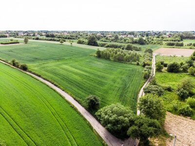 Działka 5 896 mkw na Woli Sławińskiej.