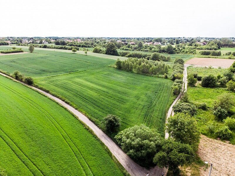 Działka 5 896 mkw na Woli Sławińskiej.