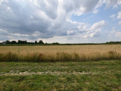 Motycz - działka na sprzedaż