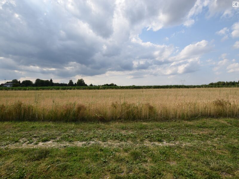 Motycz - działka na sprzedaż
