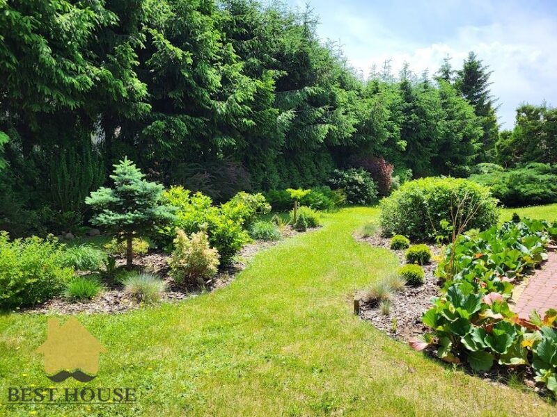 Płouszowice-Kolonia - dom na sprzedaż