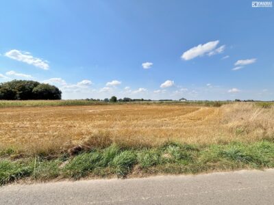 Radawiec Mały - działka na sprzedaż