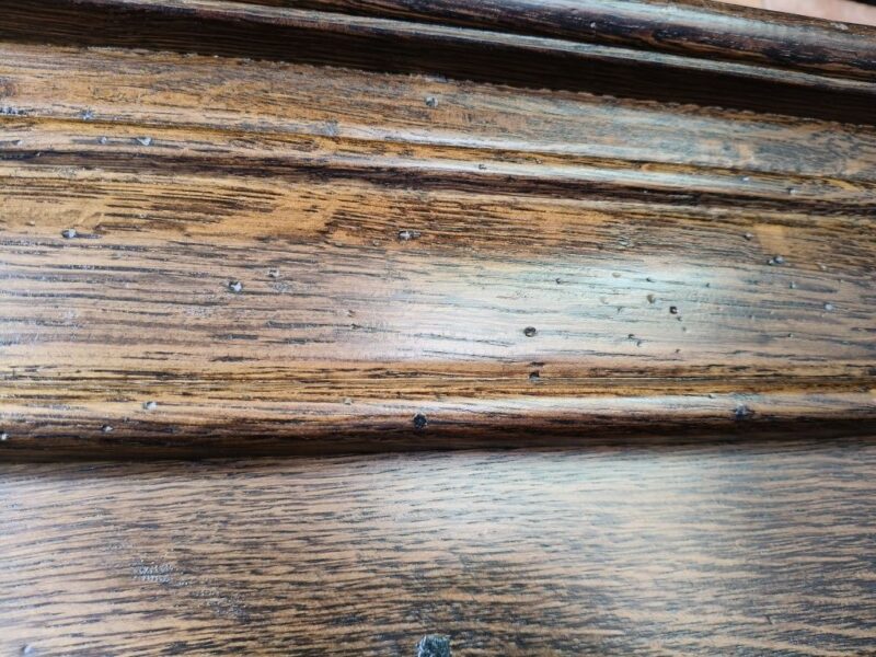 Witryna dębowa / biblioteka