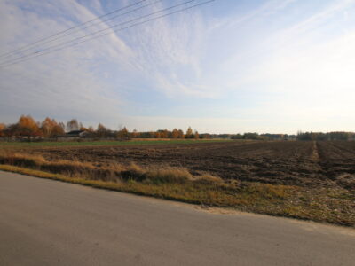 Działka rolno budowlana 65ar Sobolew Kol g. Firlej