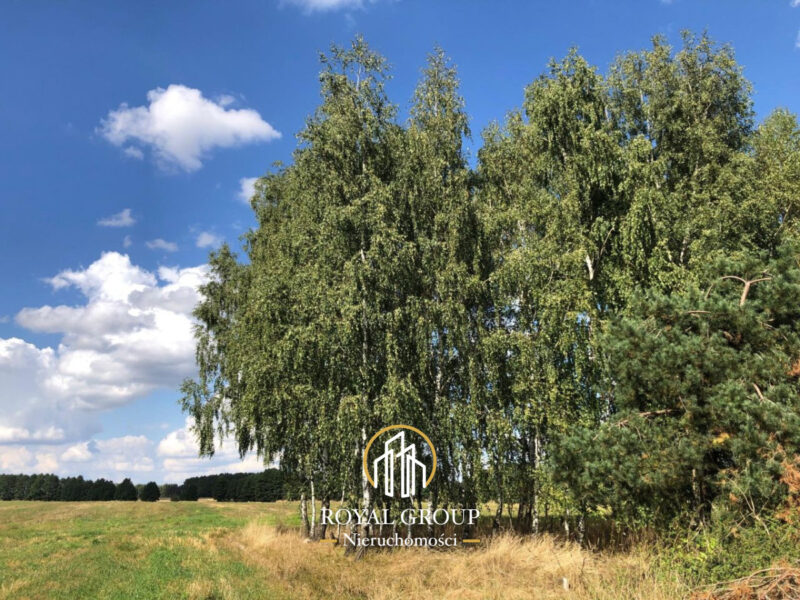 Gołąb - działka na sprzedaż