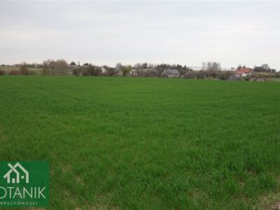 Panieńszczyzna - działka na sprzedaż