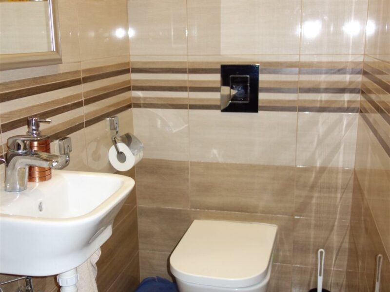 Płouszowice-Kolonia - dom na sprzedaż