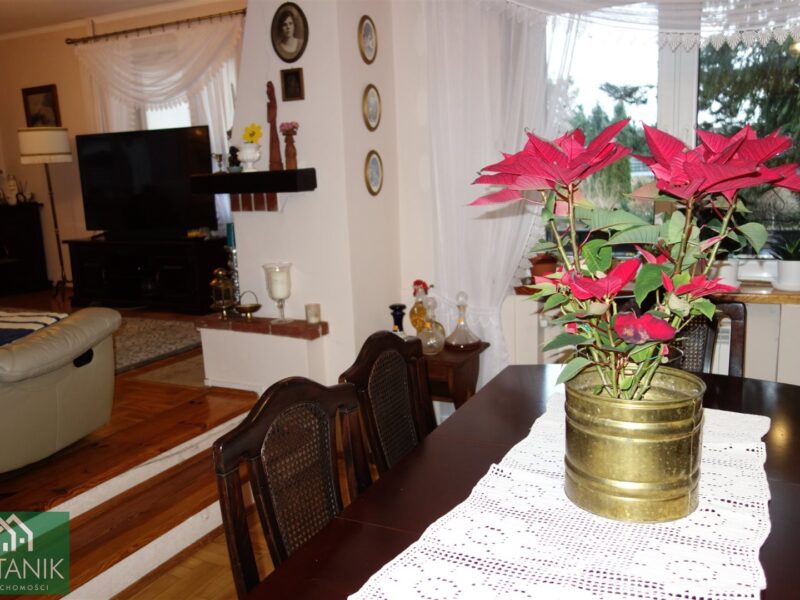 Płouszowice-Kolonia - dom na sprzedaż