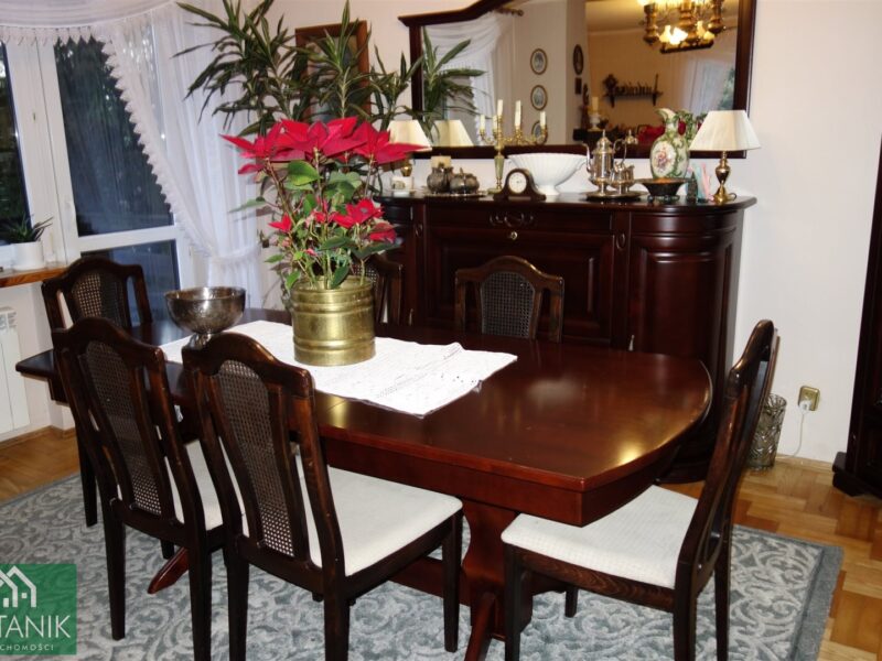 Płouszowice-Kolonia - dom na sprzedaż