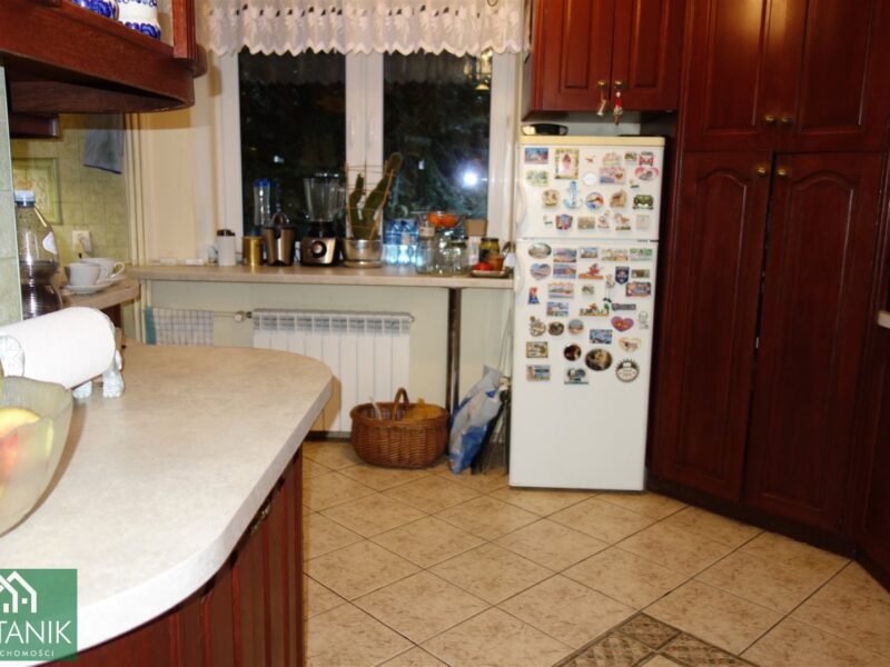 Płouszowice-Kolonia - dom na sprzedaż