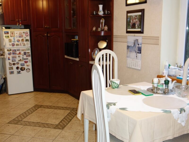 Płouszowice-Kolonia - dom na sprzedaż