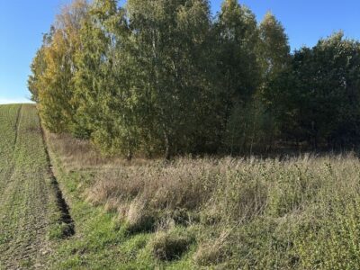 Działka dolna