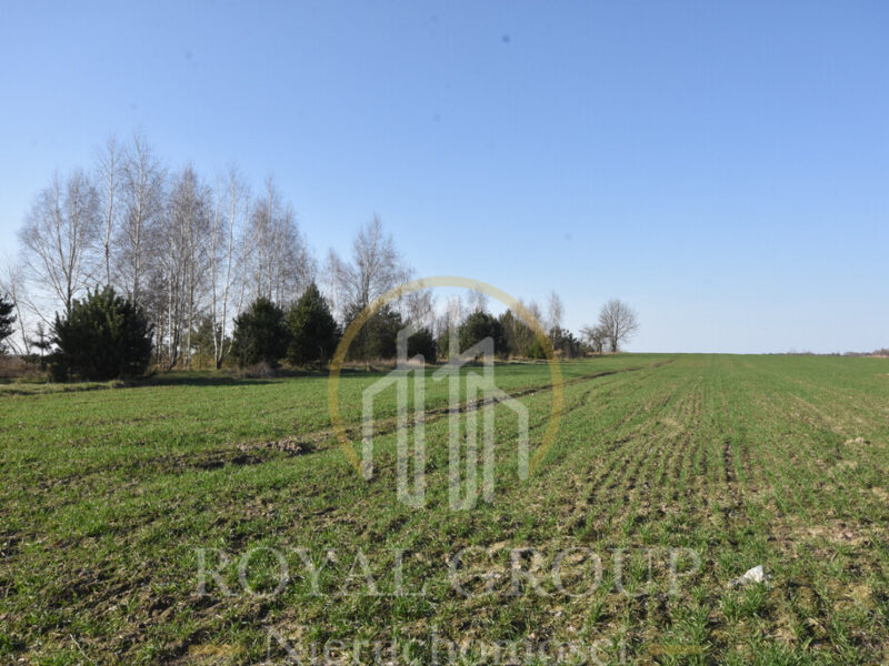 Działka przy Jeziorze Kunów