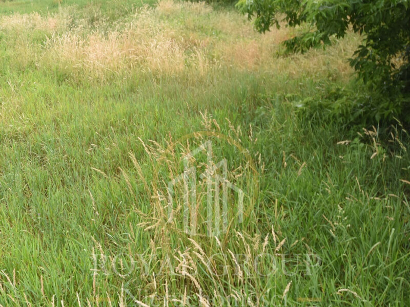 Dziaka budowlana