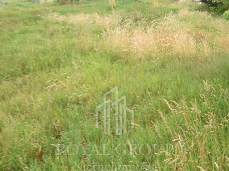 Dziaka budowlana