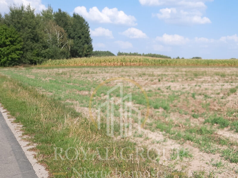 Działka przy drodze wojewódzkiej