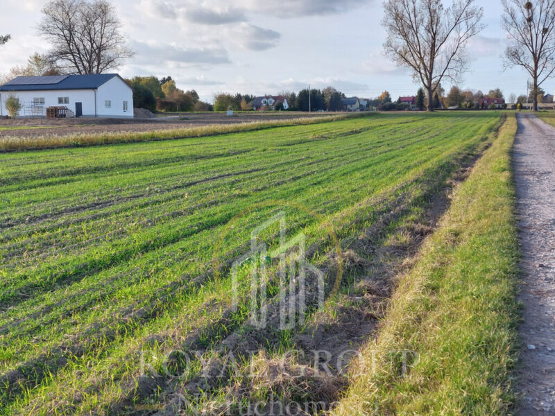 Na sprzedaż 30 arowa działka obok Krężnickiej