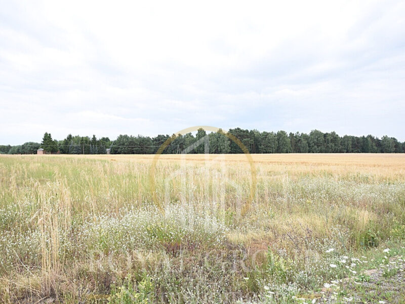 Działka budowlana 8 200 m2