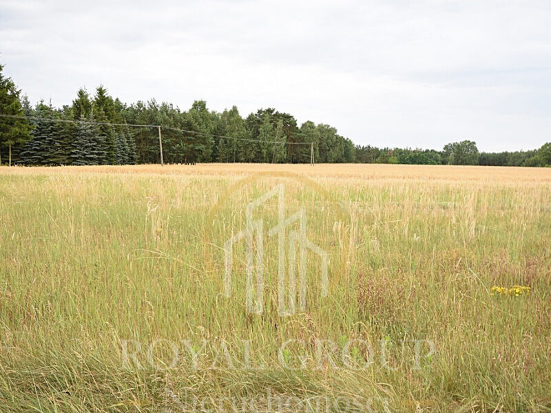 Działka budowlana 8 200 m2