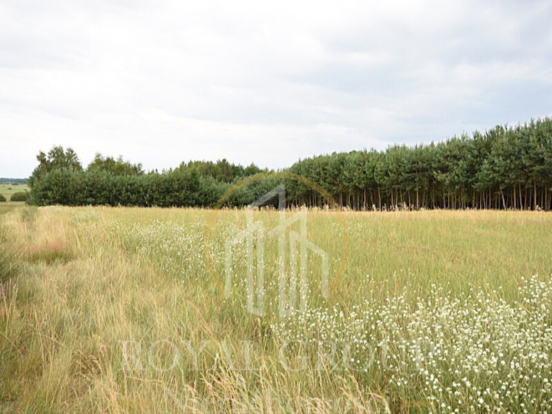 Działka budowlana 8 200 m2