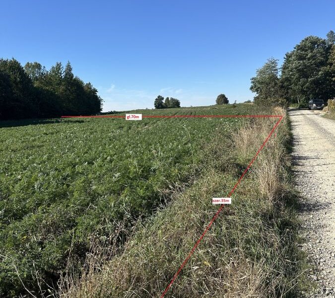 Ostatnia działka ze starodrzewem
