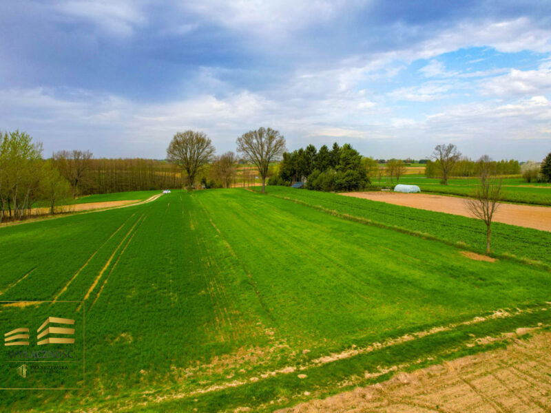 Działka rolna o pow. 3900m2 w Płouszowicach