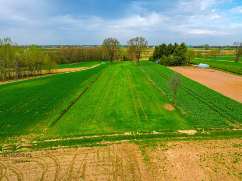 Działka rolna o pow. 3900m2 w Płouszowicach