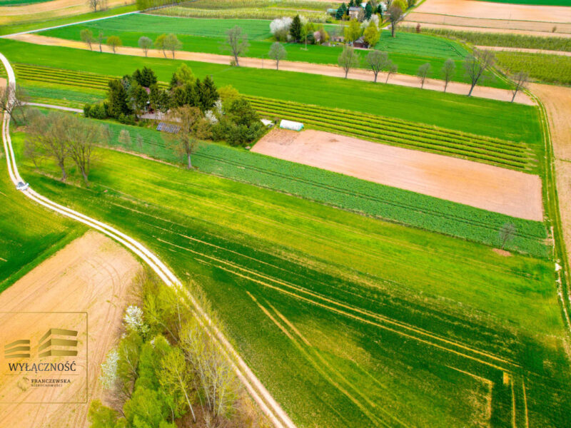 Działka rolna o pow. 3900m2 w Płouszowicach