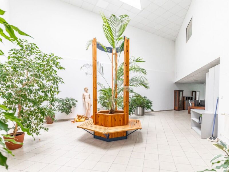 Lokal parter z witryną 560m2 - Lublin, LSM