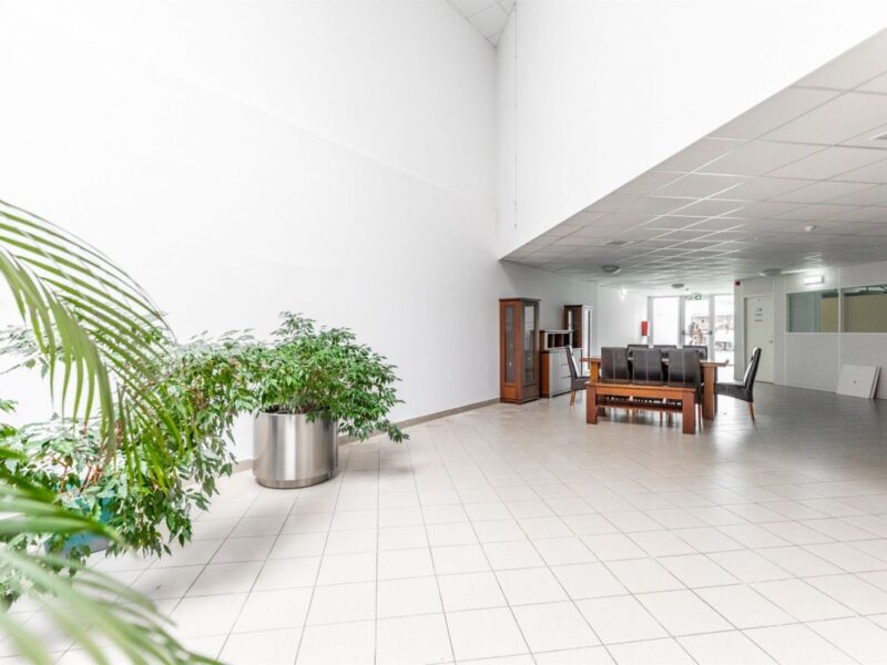 Do wynajęcia przestronna powierzchnia open space o powierzchni 560m2 m² zlokalizowany na parterze z niezależnym wejściem od ruchliwego ciągu pieszego. Lokal ofe -Lokal parter z witryną 560m2 - Lublin, LSM