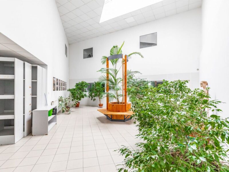 Lokal parter z witryną 560m2 - Lublin, LSM