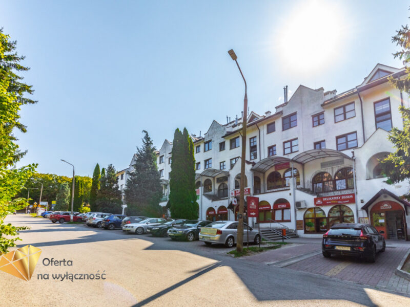 Lokal w centrum z witrynami 55m2 - Nałęczów