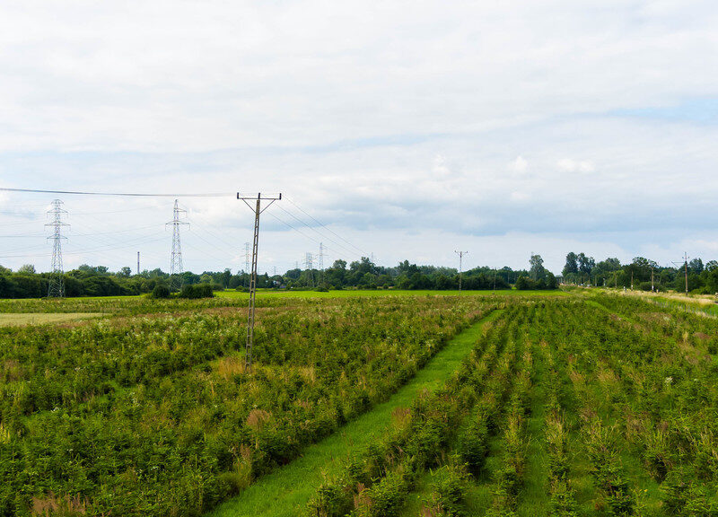 Działka inwestycyjna - wysoki i szybki zysk
