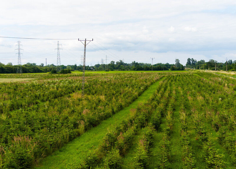Działka inwestycyjna - wysoki i szybki zysk