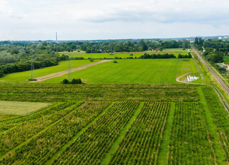 Działka inwestycyjna - wysoki i szybki zysk