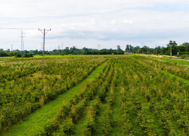 Działka inwestycyjna - wysoki i szybki zysk