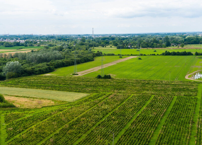 Działka inwestycyjna - wysoki i szybki zysk