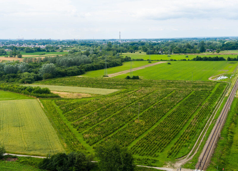 Działka inwestycyjna - wysoki i szybki zysk