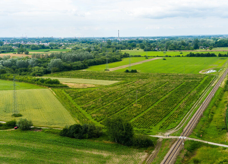 Działka inwestycyjna - wysoki i szybki zysk
