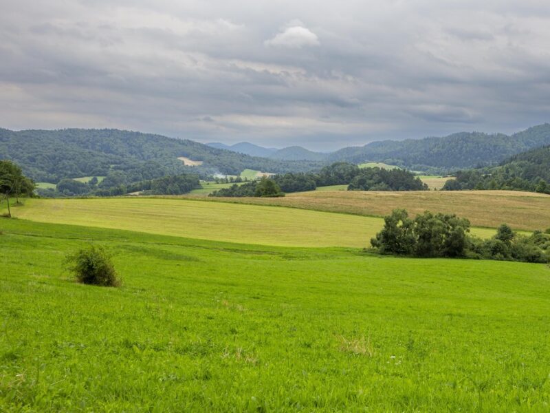 Działka budowlana- Kielczawa
