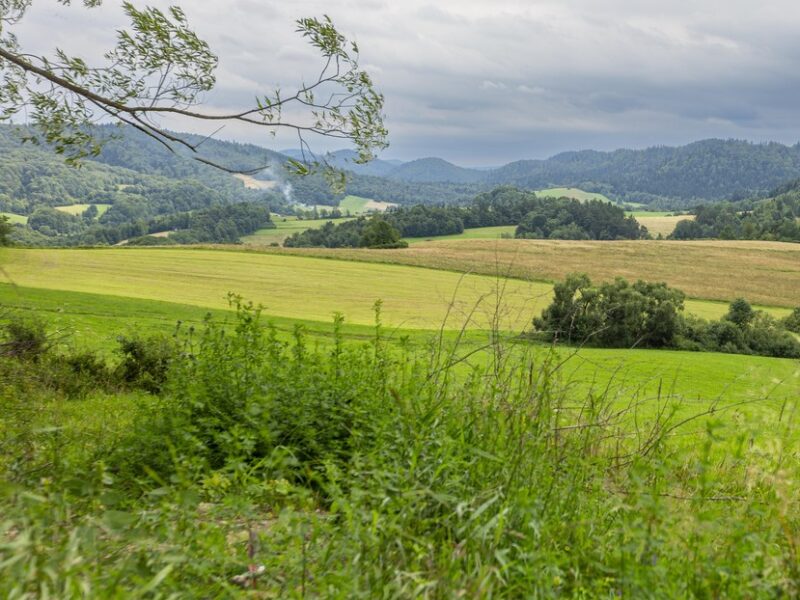 Działka budowlana- Kielczawa