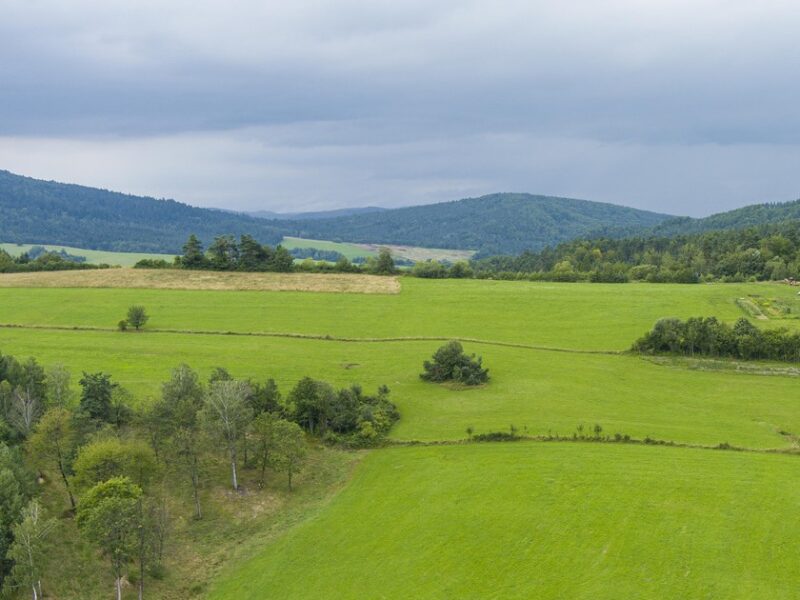 Działka budowlana- Kielczawa