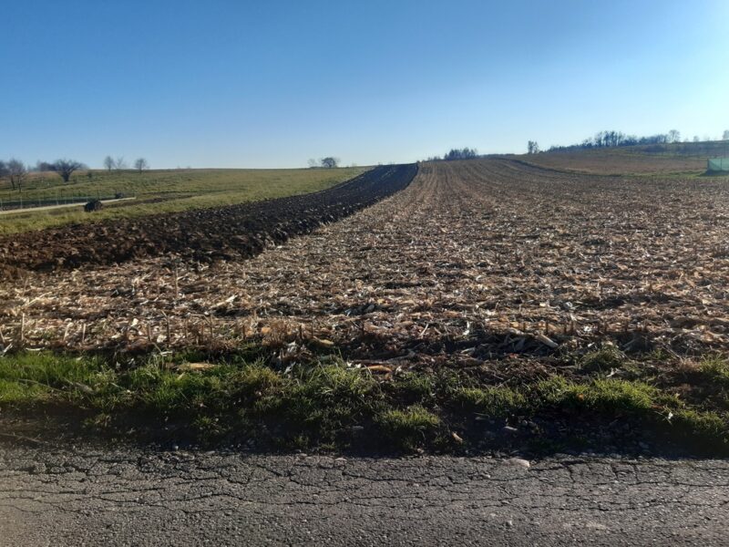 Działka rolno-budowlana bez prowizji od kupującego