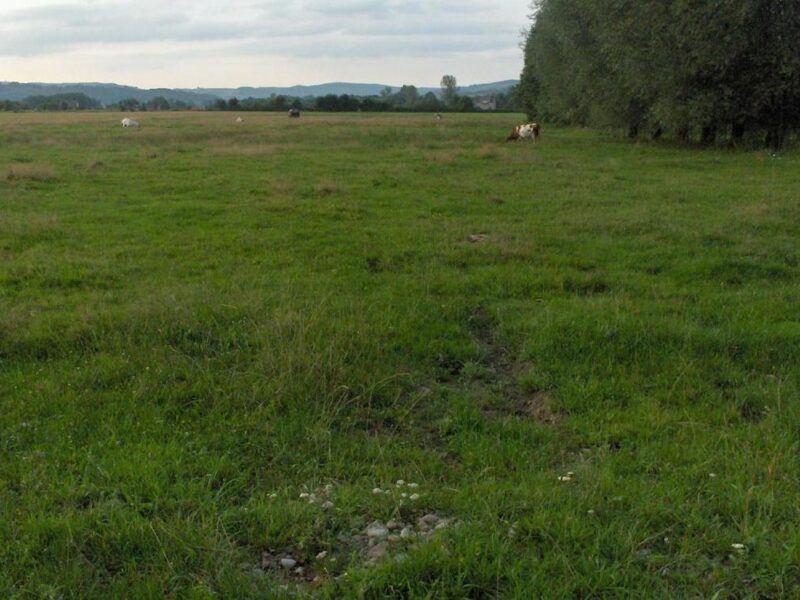 Bardzo ciekawa działka w Faściszowej