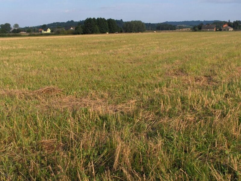 Bardzo ciekawa działka w Faściszowej