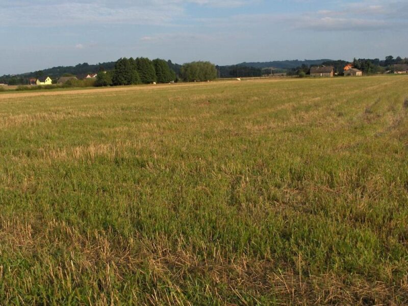 Bardzo ciekawa działka w Faściszowej