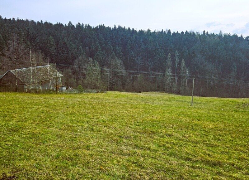 Działka siedliskowa- 99 arów- Beskid Sądecki